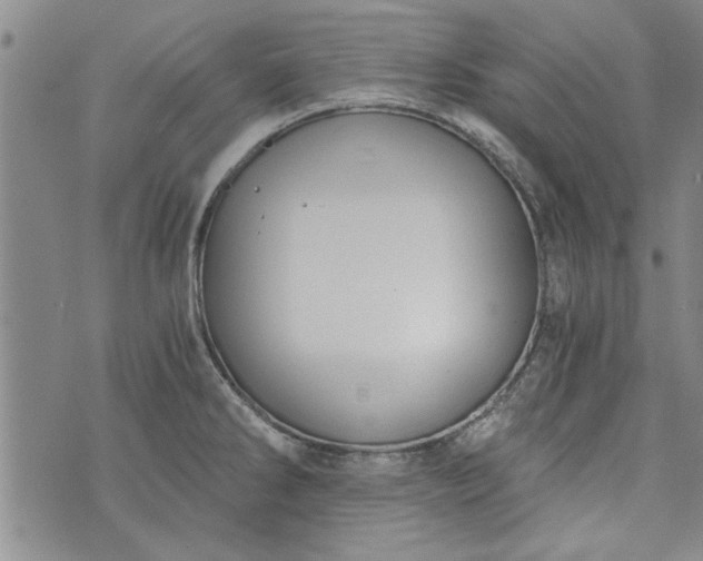 X0000072961286200608041143