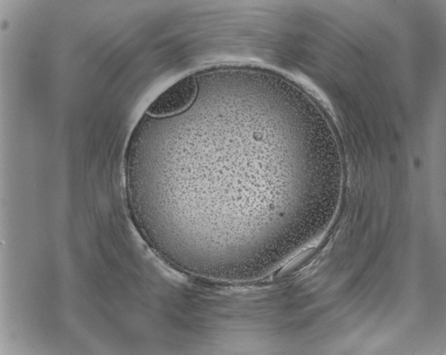 X0000072961287200608041143