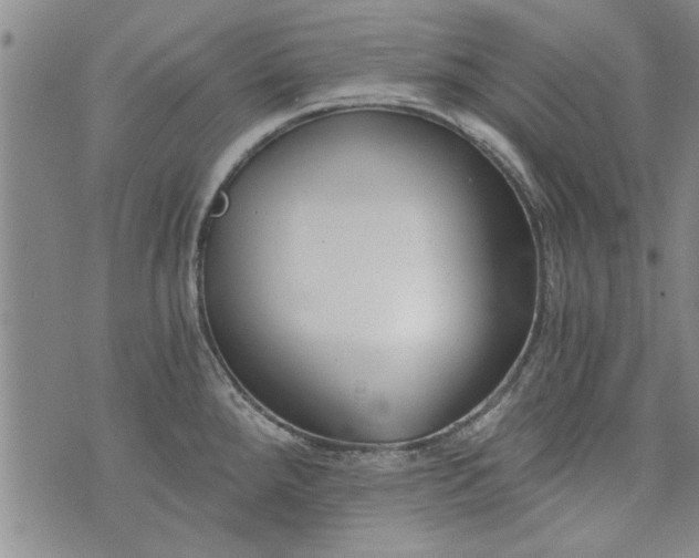 X0000072961288200608041143