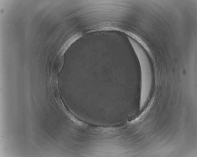 X0000072961289200608041143