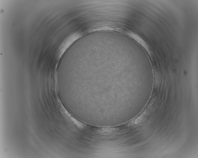 X0000072961290200608041143