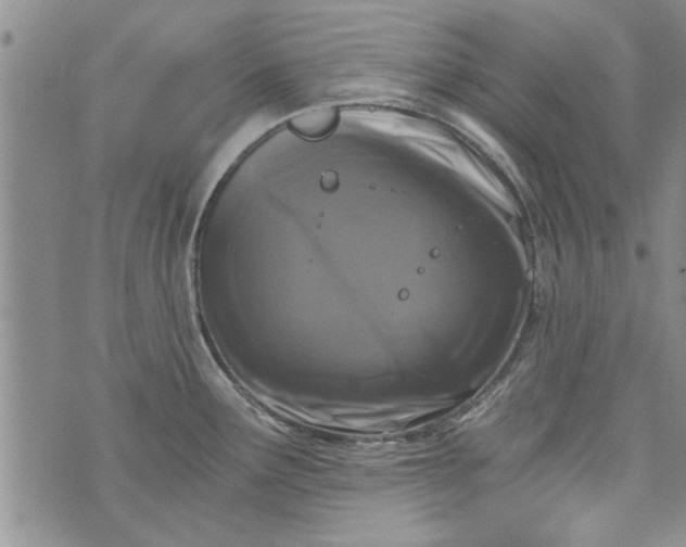 X0000072961291200608041143