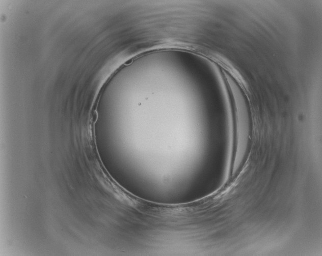 X0000072961292200608041143