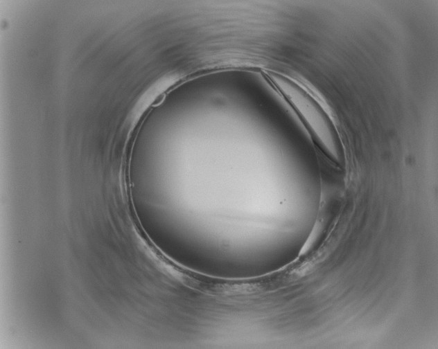 X0000072961293200608041143