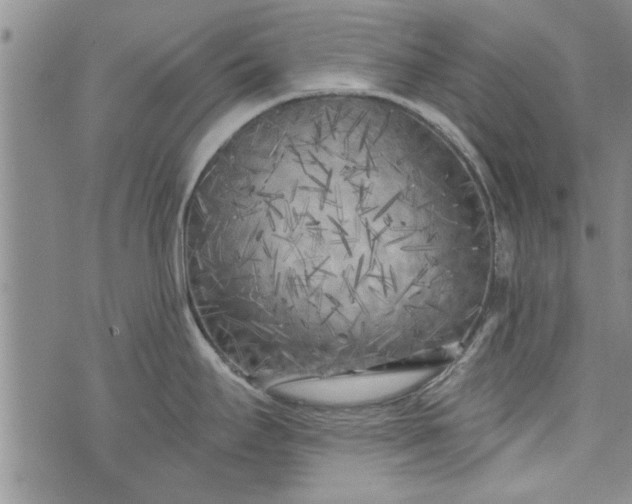 X0000072961295200608041143