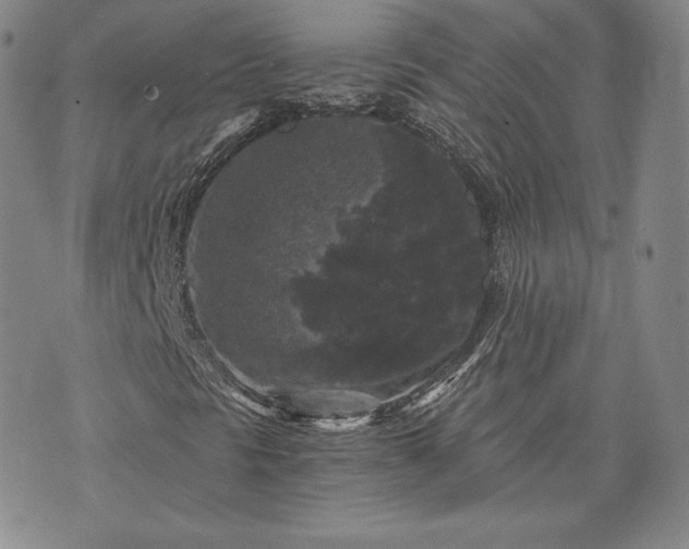 X0000072961297200608041142