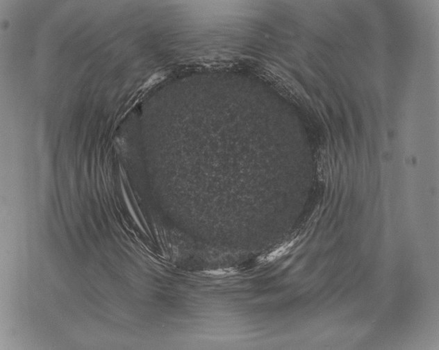 X0000072961298200608041142