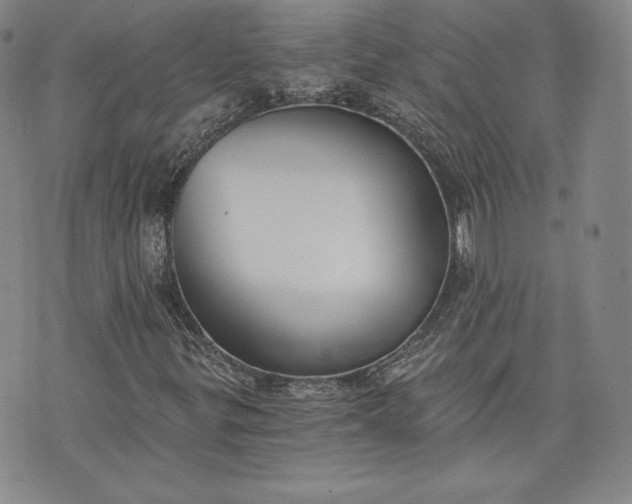 X0000072961299200608041142