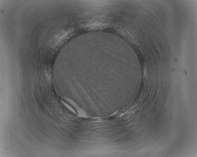 X0000072961300200608041142