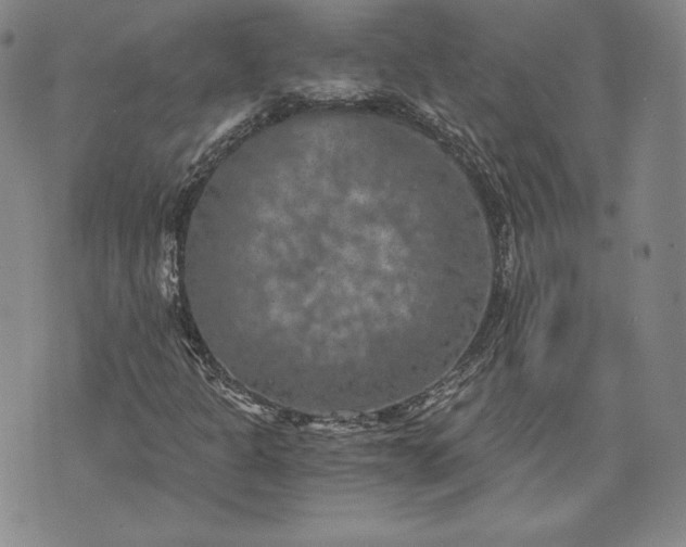 X0000072961301200608041142