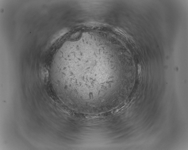 X0000072961302200608041142