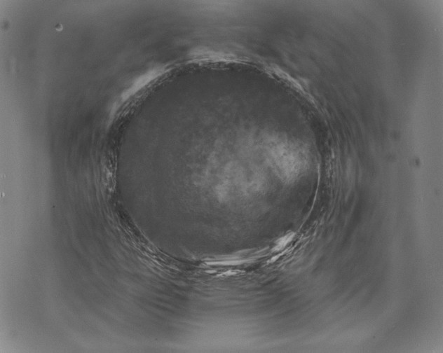 X0000072961303200608041142