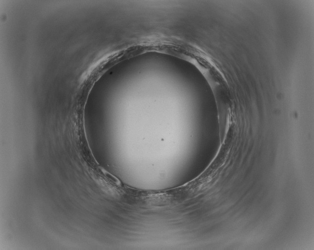 X0000072961304200608041143