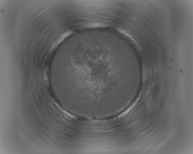 X0000072961305200608041143