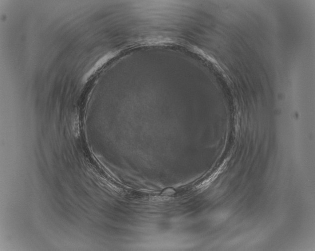 X0000072961306200608041143