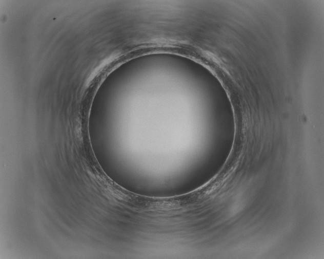 X0000072961307200608041143