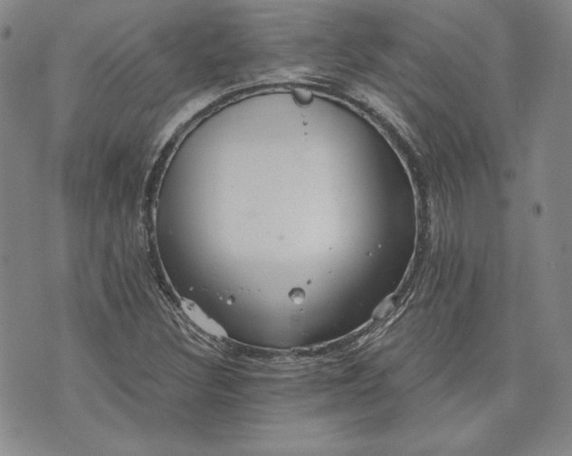 X0000072961308200608041143