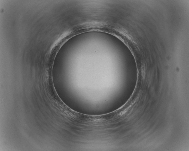 X0000072961309200608041143