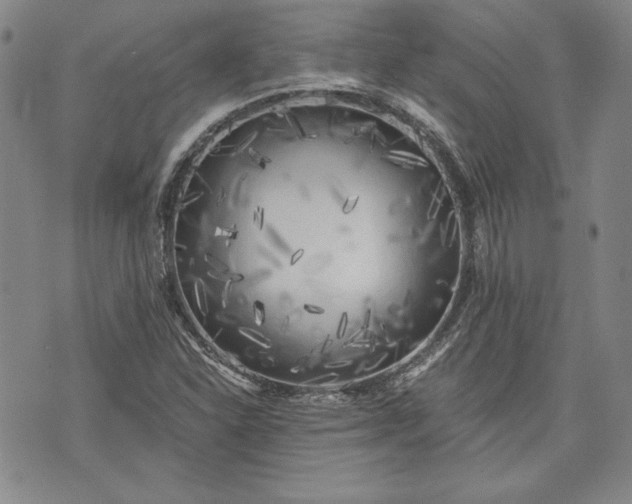 X0000072961310200608041143