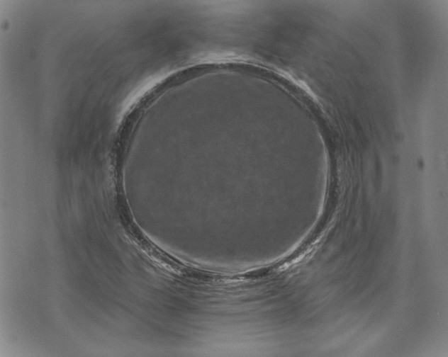 X0000072961311200608041143