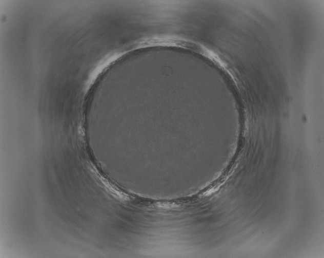 X0000072961312200608041143