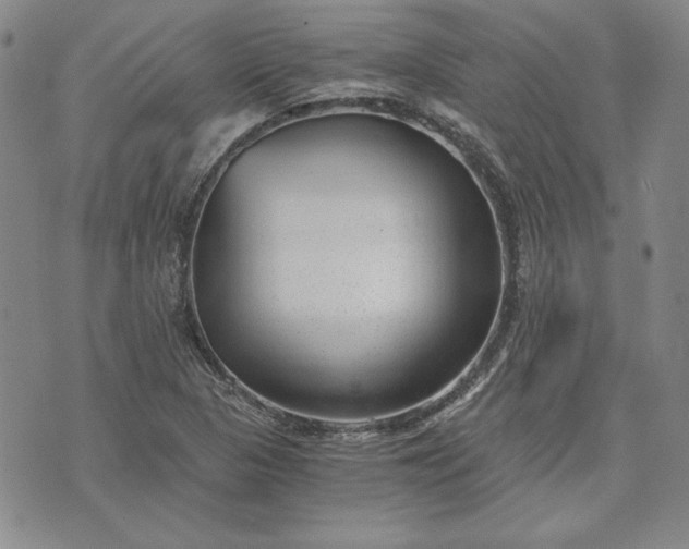 X0000072961313200608041143