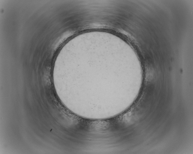 X0000072961314200608041143