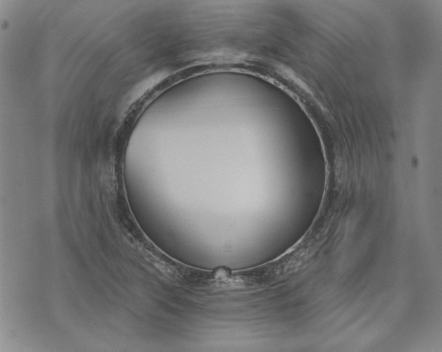 X0000072961315200608041143