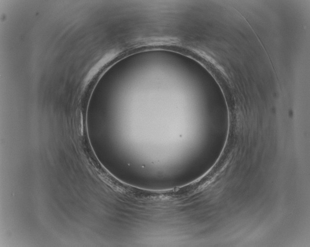 X0000072961317200608041143