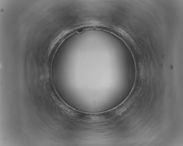 X0000072961318200608041143