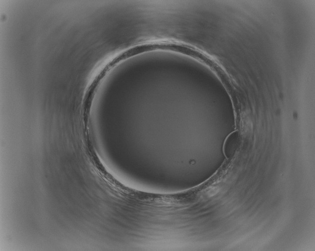 X0000072961319200608041143