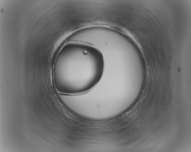 X0000072961320200608041143