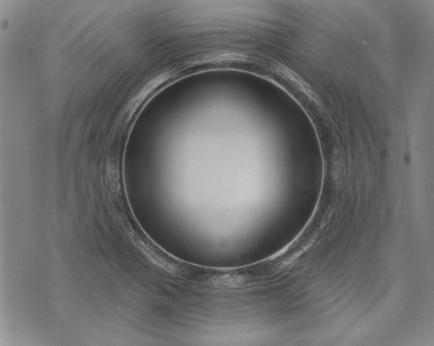 X0000072961321200608041143