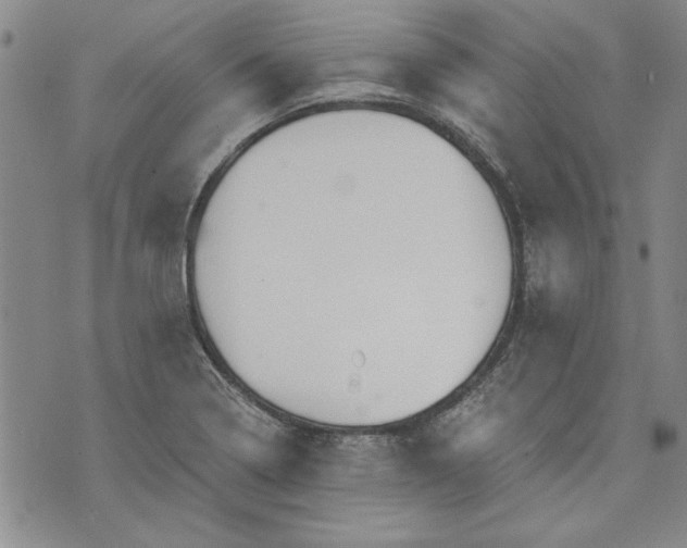 X0000072961322200608041143