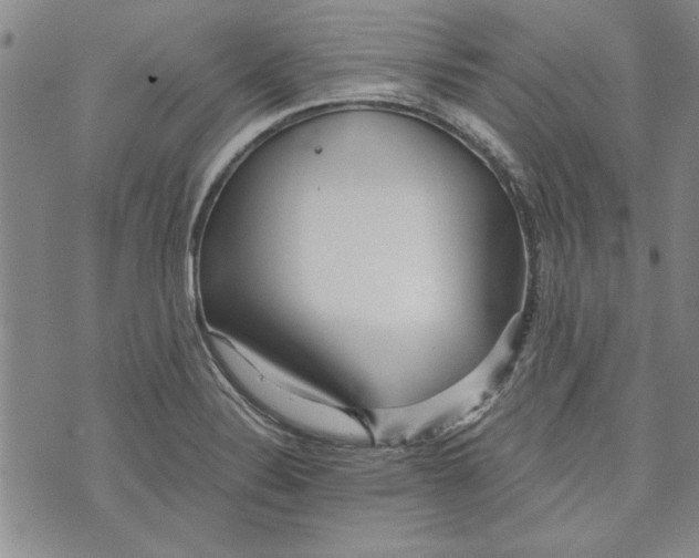 X0000072961324200608041143