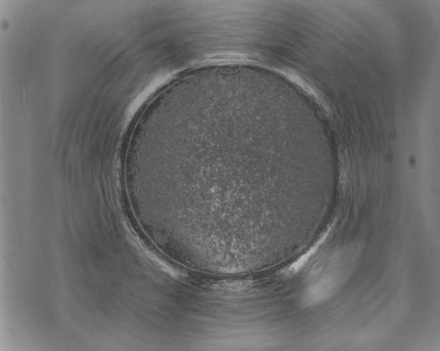 X0000072961325200608041143