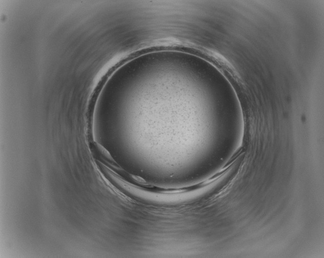 X0000072961326200608041143