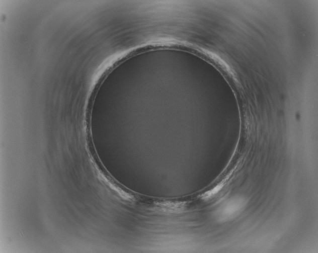 X0000072961327200608041143