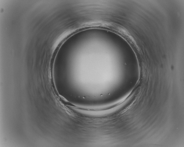 X0000072961328200608041143