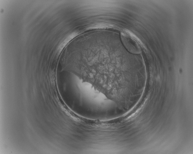 X0000072961329200608041143