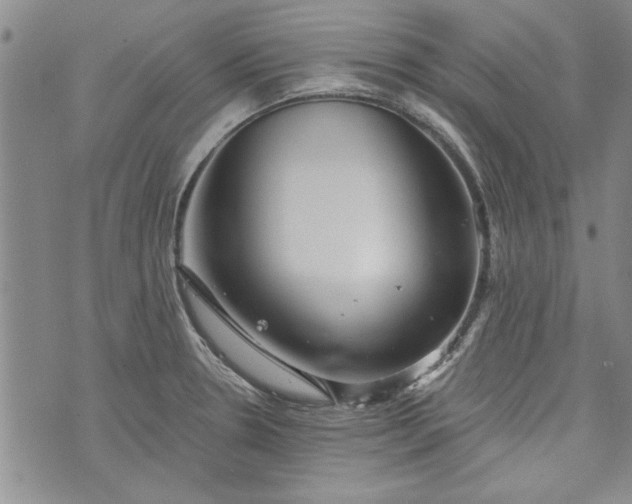 X0000072961330200608041143