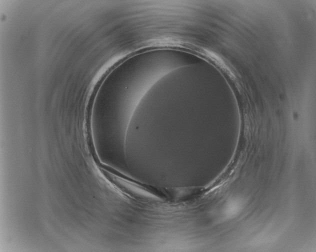 X0000072961331200608041143