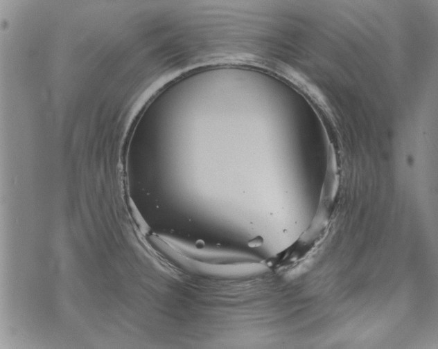 X0000072961332200608041143