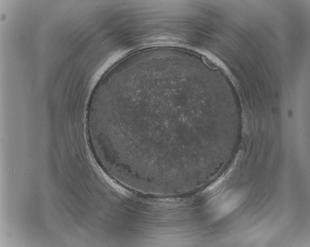 X0000072961333200608041143