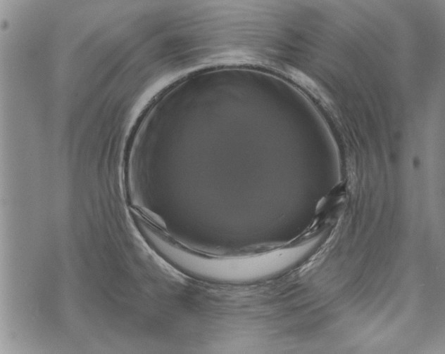 X0000072961334200608041143