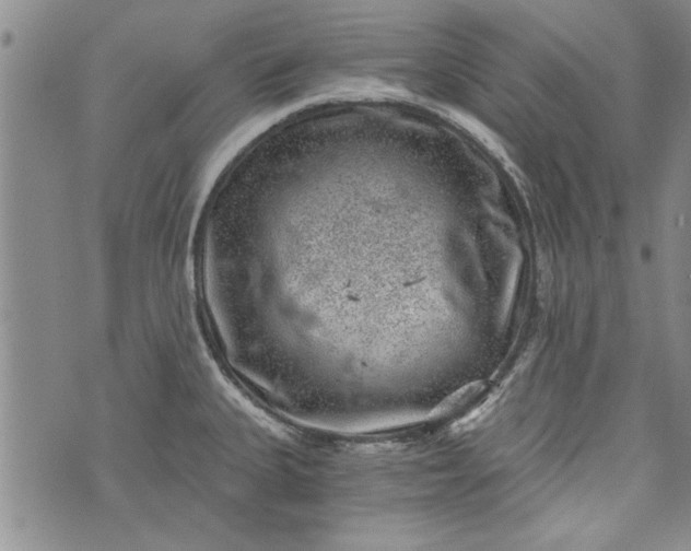 X0000072961335200608041143