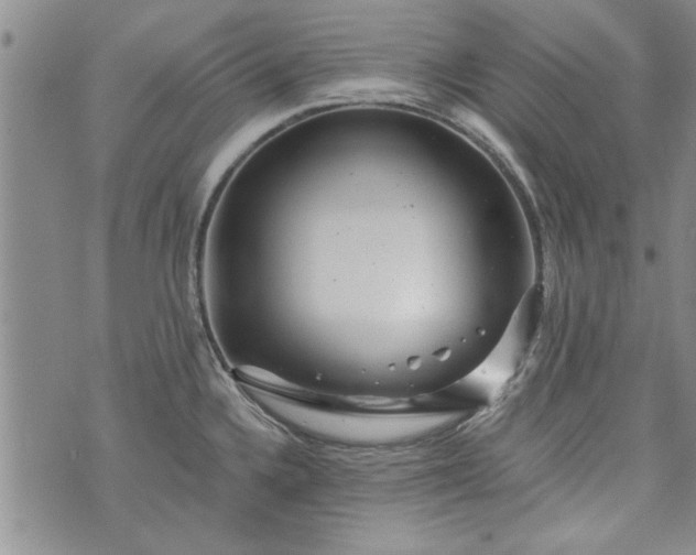 X0000072961336200608041143