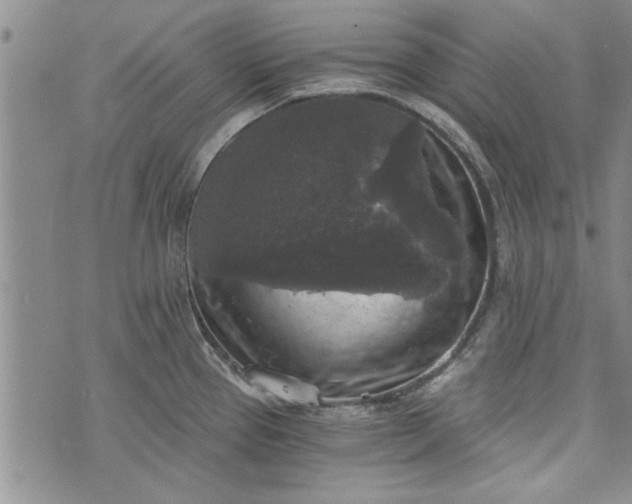 X0000072961337200608041143