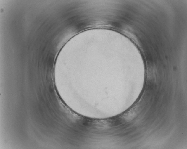 X0000072961338200608041143