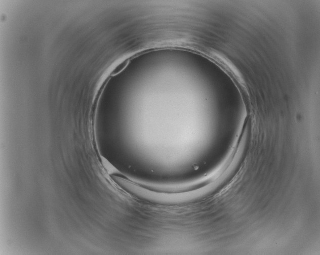 X0000072961340200608041143